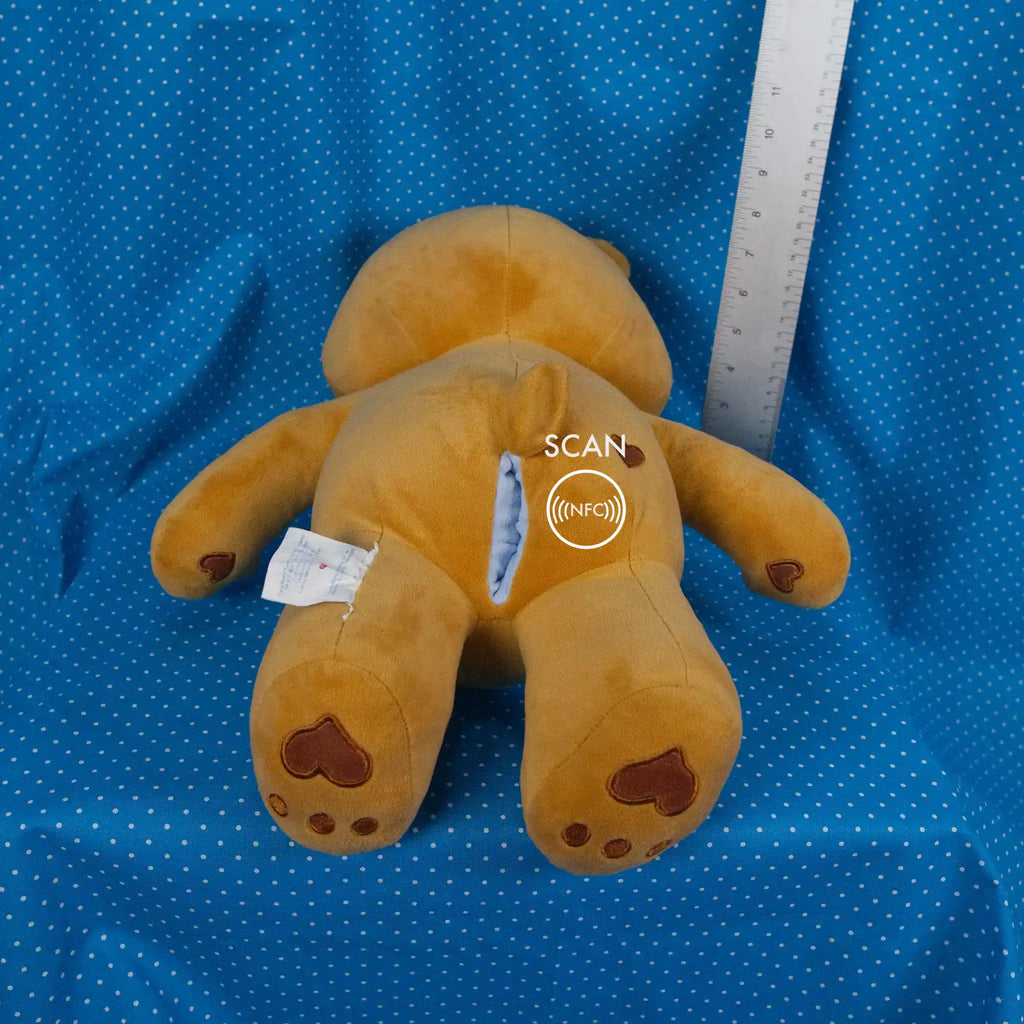 Brown Bear With Red Heart
