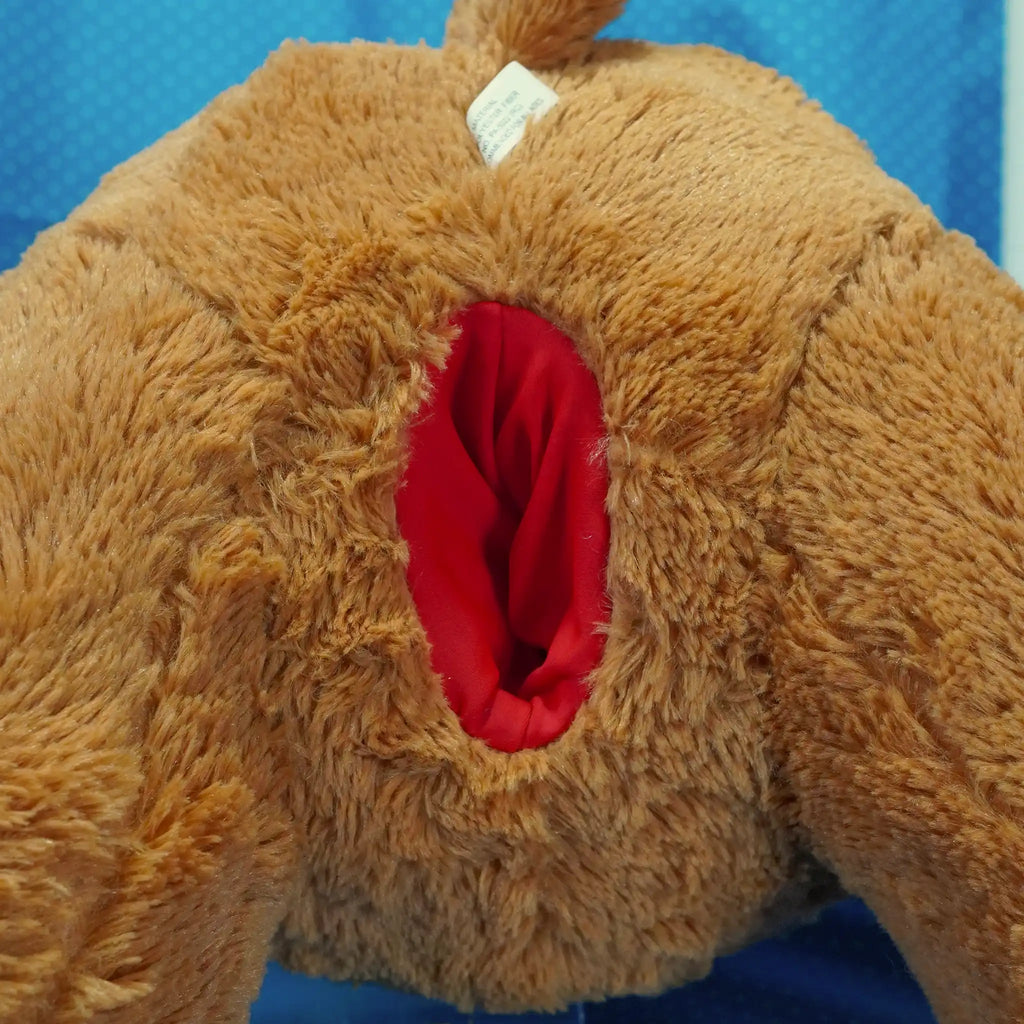 Brown Bear With Red Accents