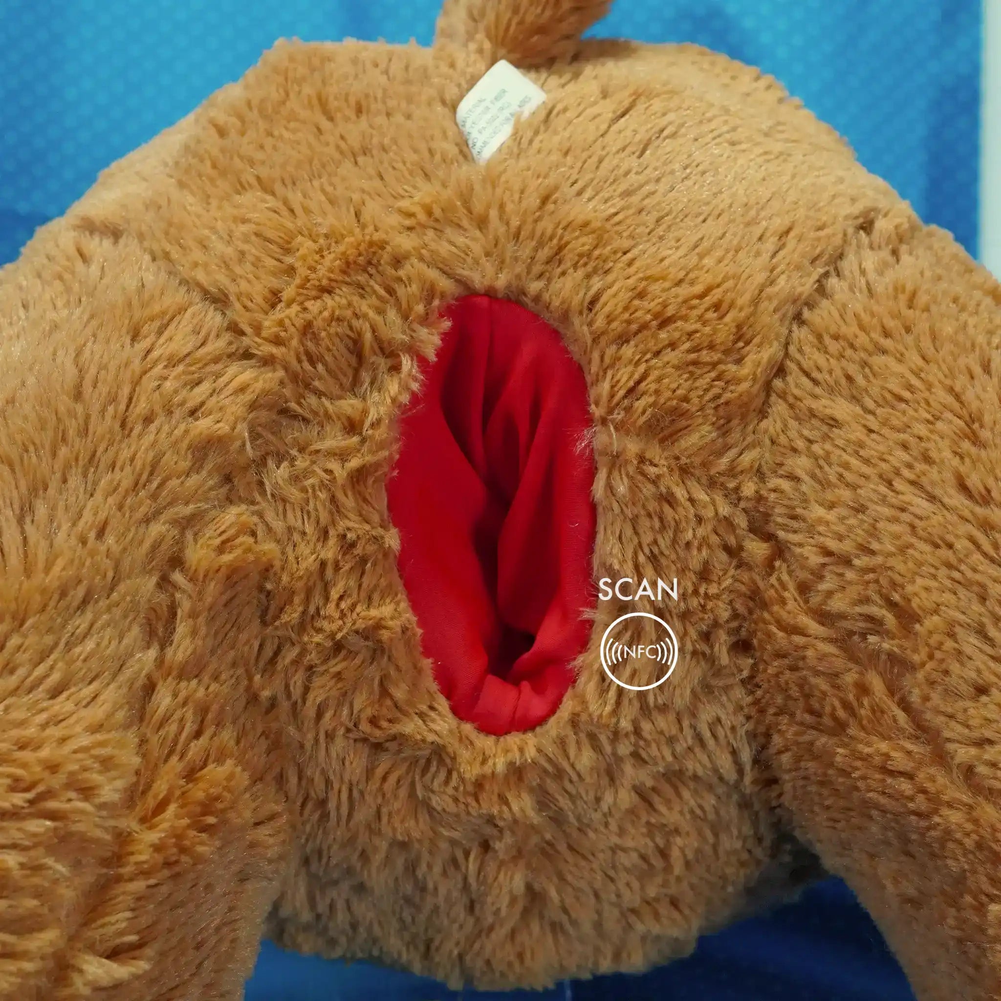 Brown Bear With Red Accents