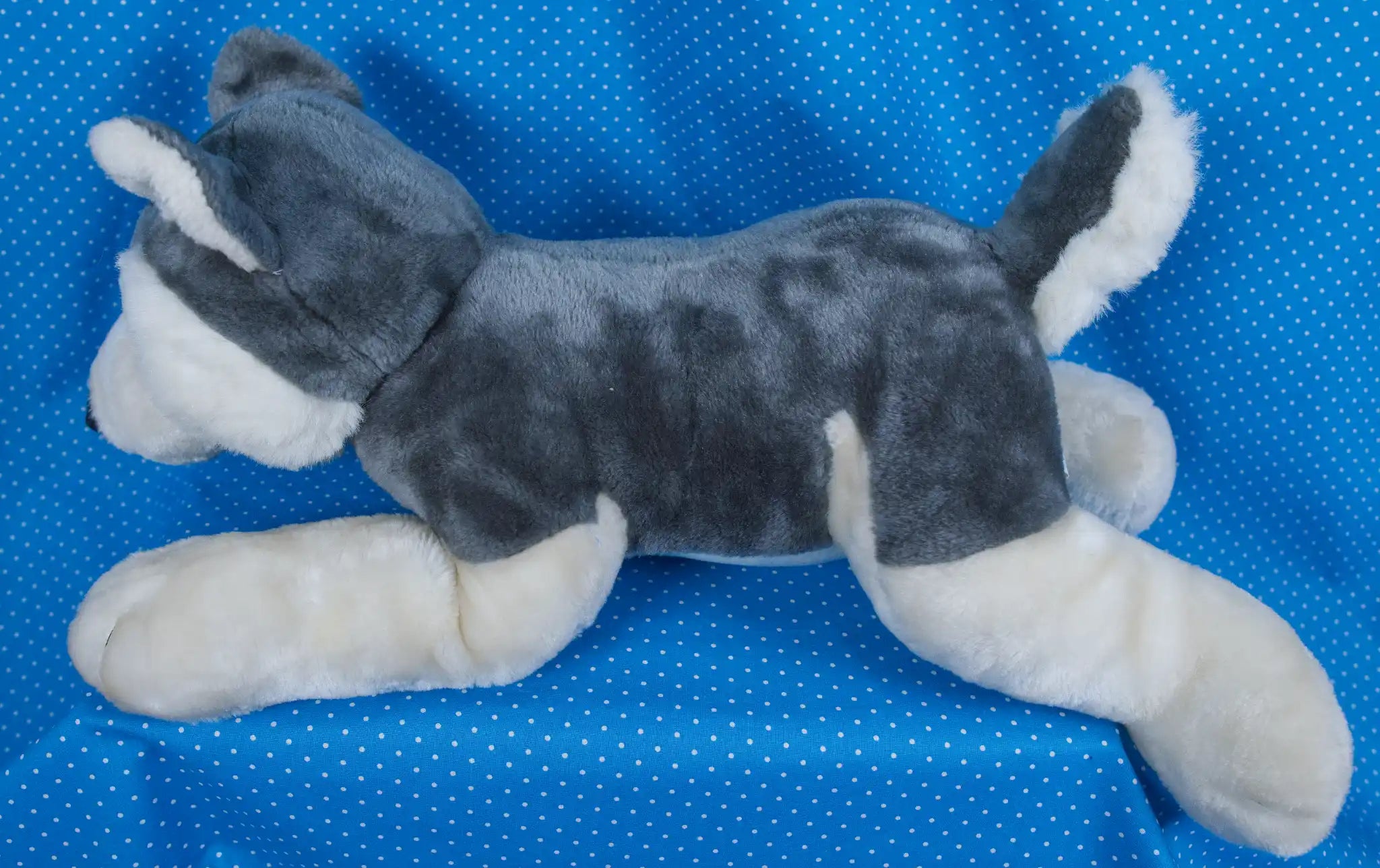 Gray and White Husky